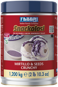 Crunchy Blueberry & Sunflower Seeds Snackolosi