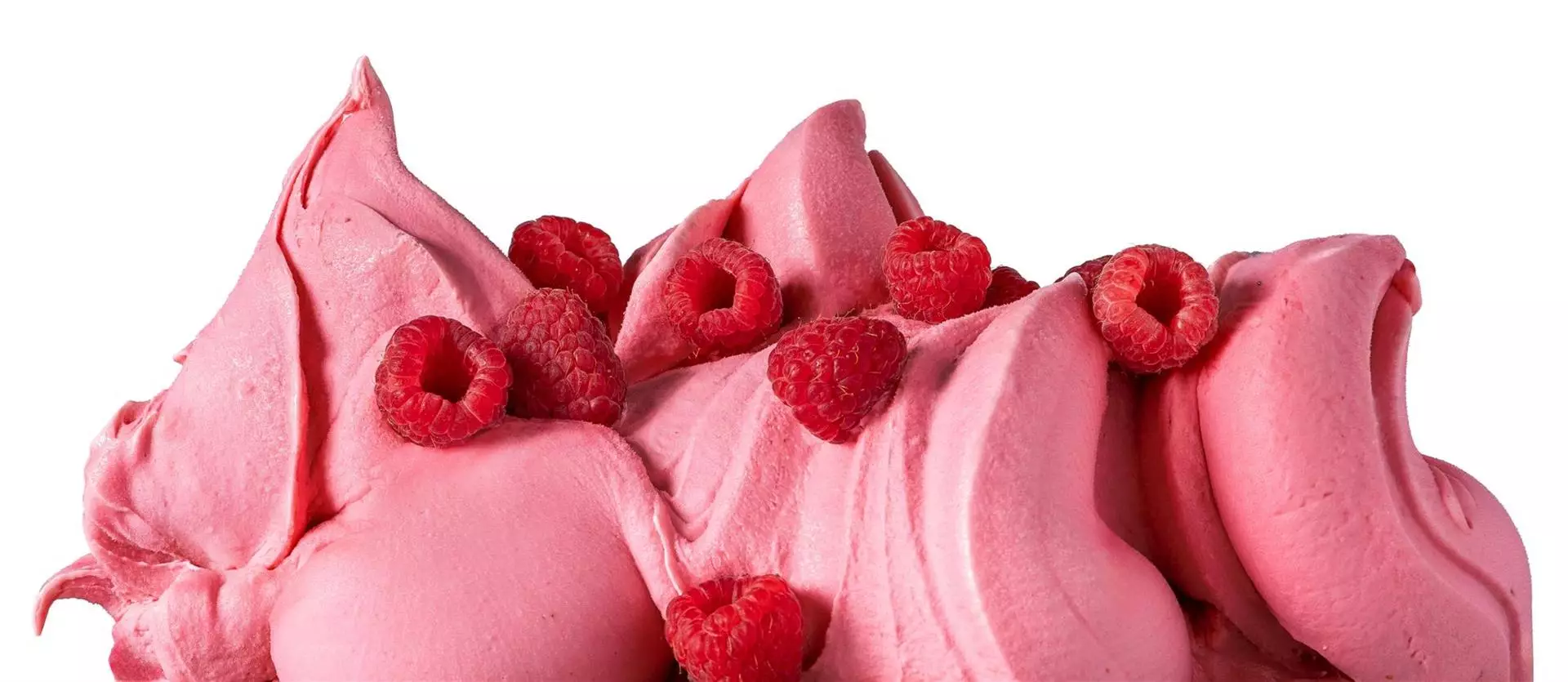 Prepare delicious artisanal sorbets with all the intense flavor of raspberry